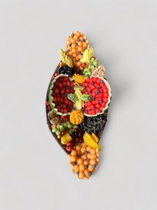 ספינת פירות